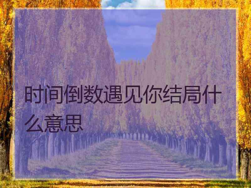 时间倒数遇见你结局什么意思