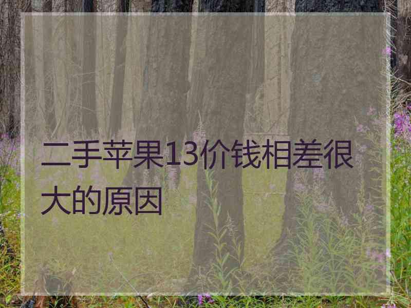 二手苹果13价钱相差很大的原因