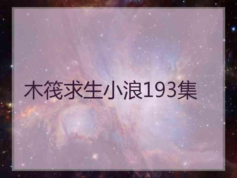 木筏求生小浪193集