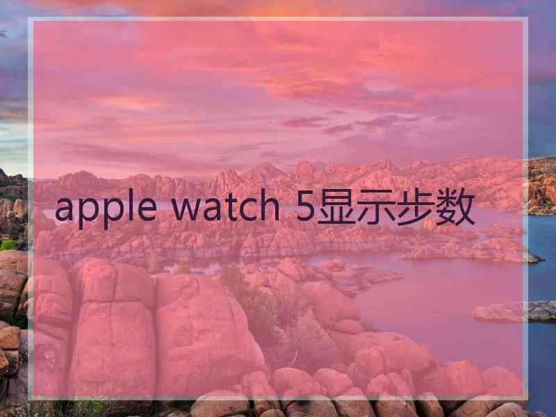 apple watch 5显示步数