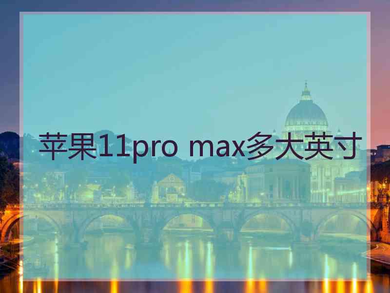 苹果11pro max多大英寸