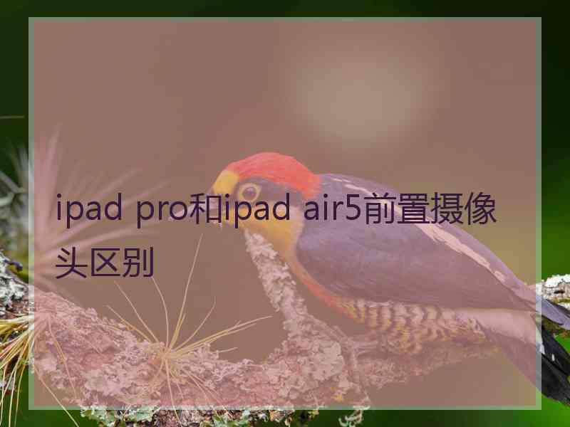 ipad pro和ipad air5前置摄像头区别