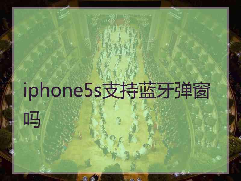 iphone5s支持蓝牙弹窗吗