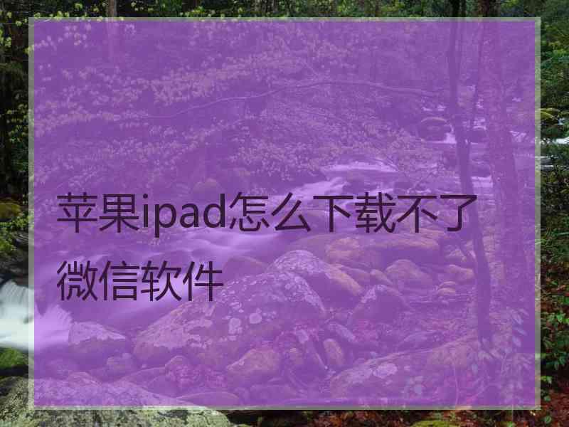 苹果ipad怎么下载不了微信软件