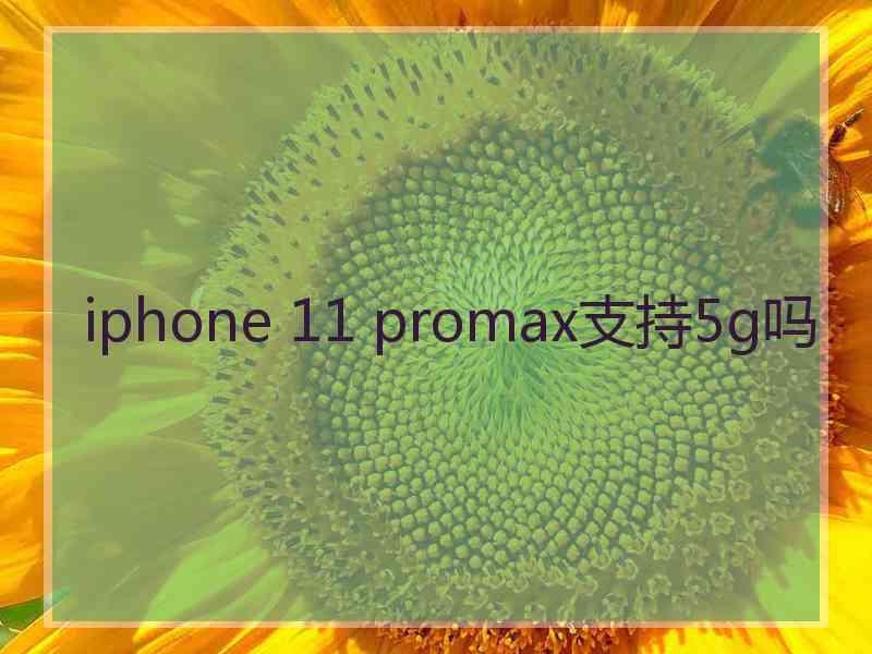 iphone 11 promax支持5g吗