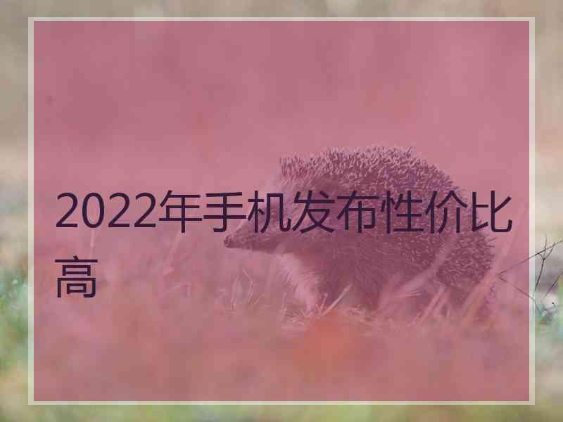 2022年手机发布性价比高