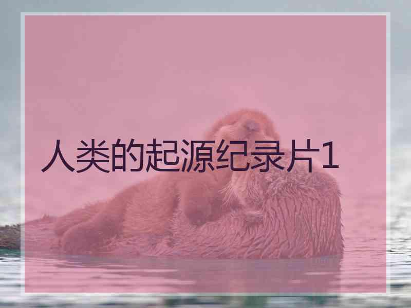 人类的起源纪录片1