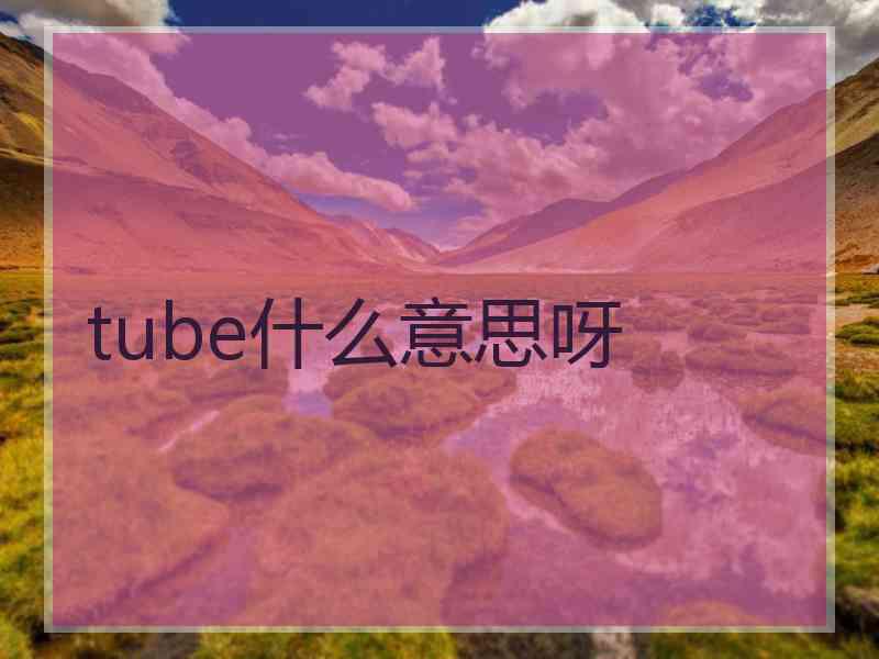 tube什么意思呀