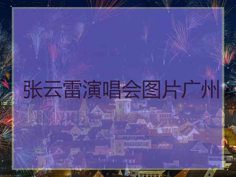 张云雷演唱会图片广州