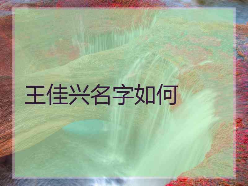 王佳兴名字如何