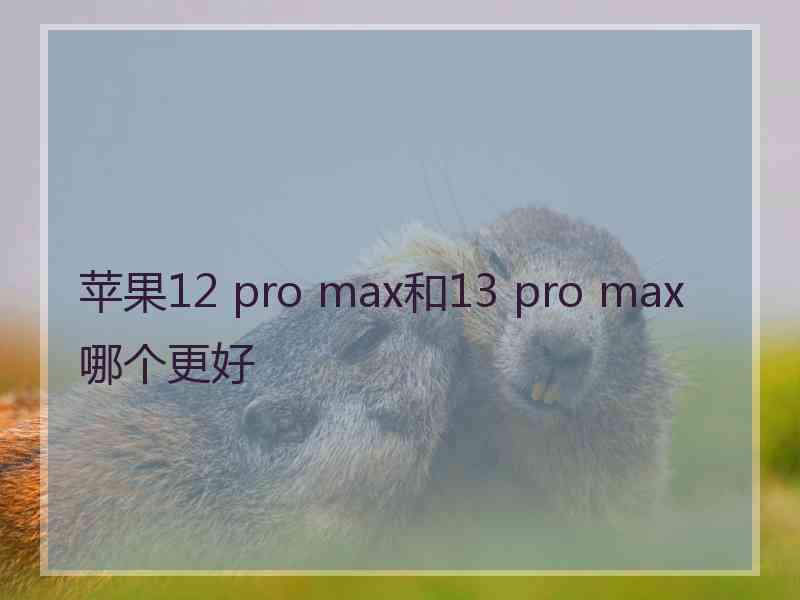 苹果12 pro max和13 pro max哪个更好