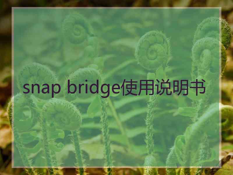 snap bridge使用说明书