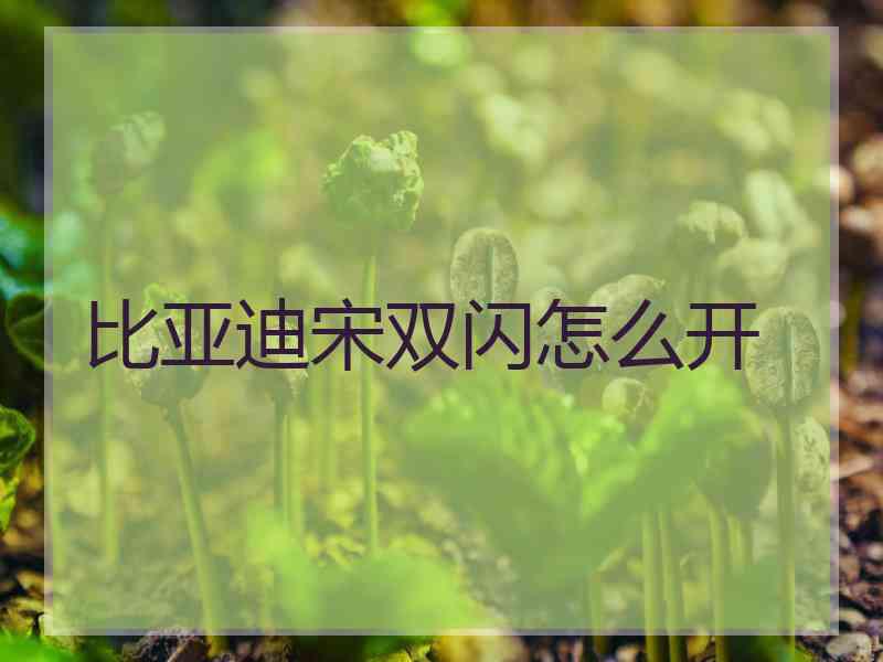 比亚迪宋双闪怎么开