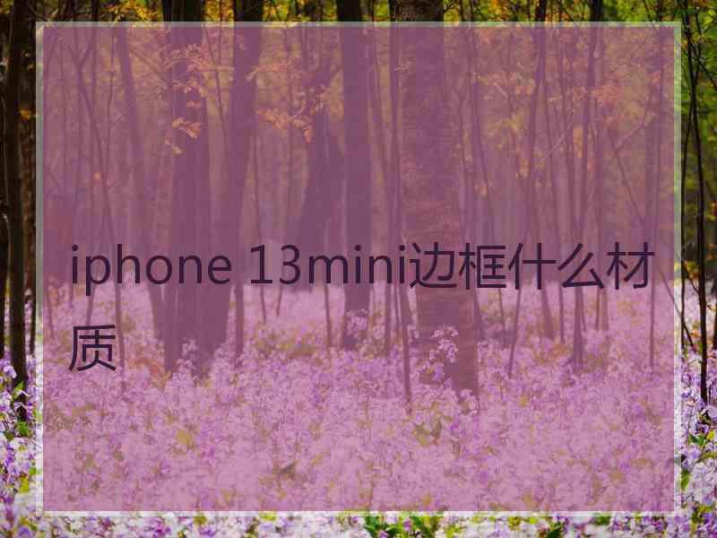 iphone 13mini边框什么材质