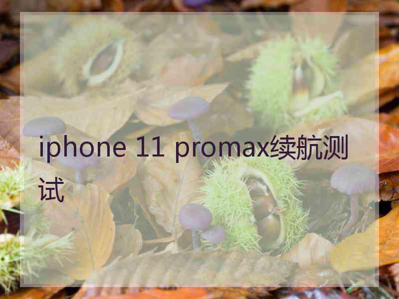 iphone 11 promax续航测试