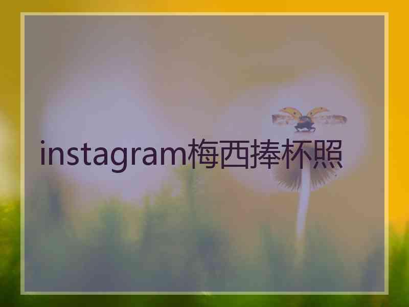 instagram梅西捧杯照