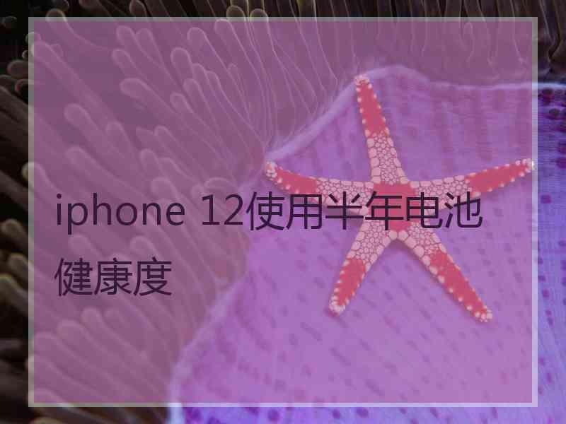 iphone 12使用半年电池健康度