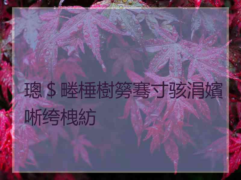 璁＄畻棰樹簩骞寸骇涓嬪唽绔栧紡