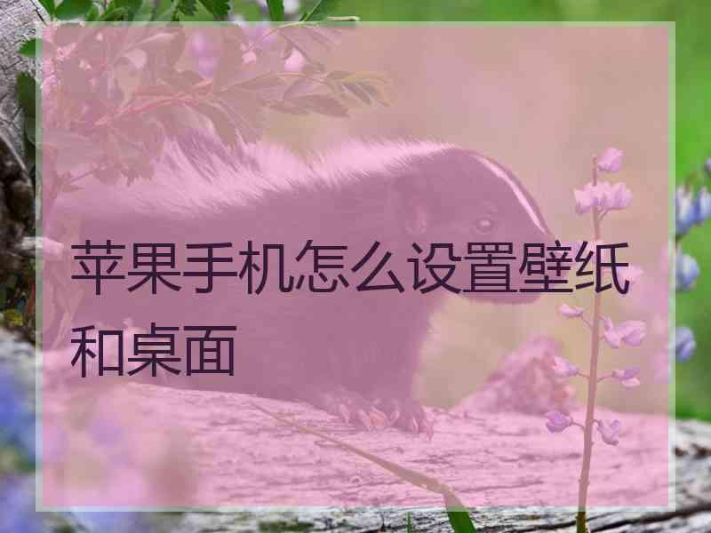 苹果手机怎么设置壁纸和桌面