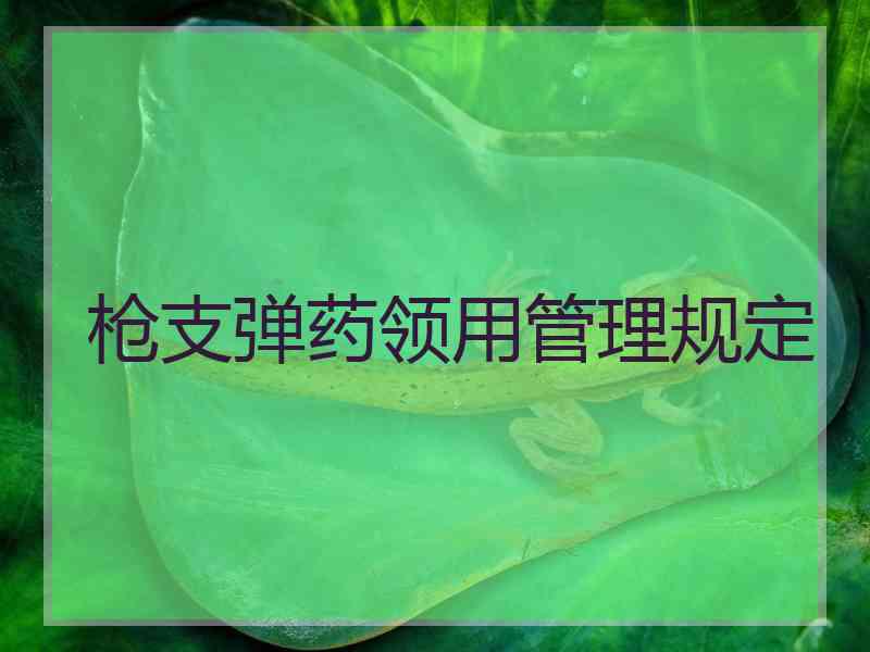 枪支弹药领用管理规定