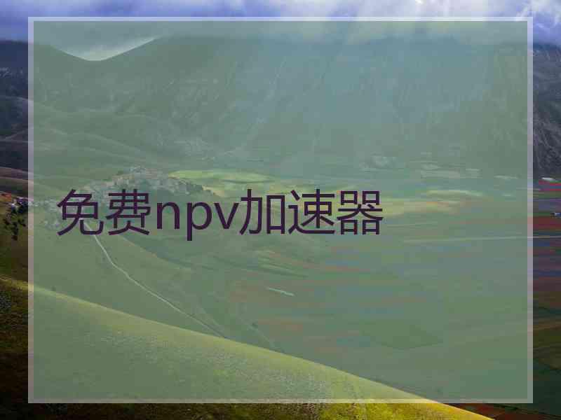 免费npv加速器