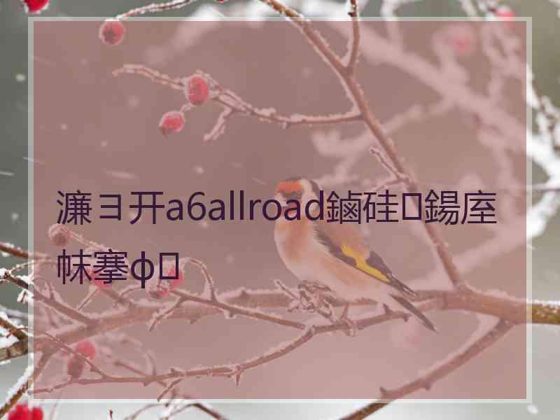 濂ヨ开a6allroad鏀硅鍚庢帓搴ф