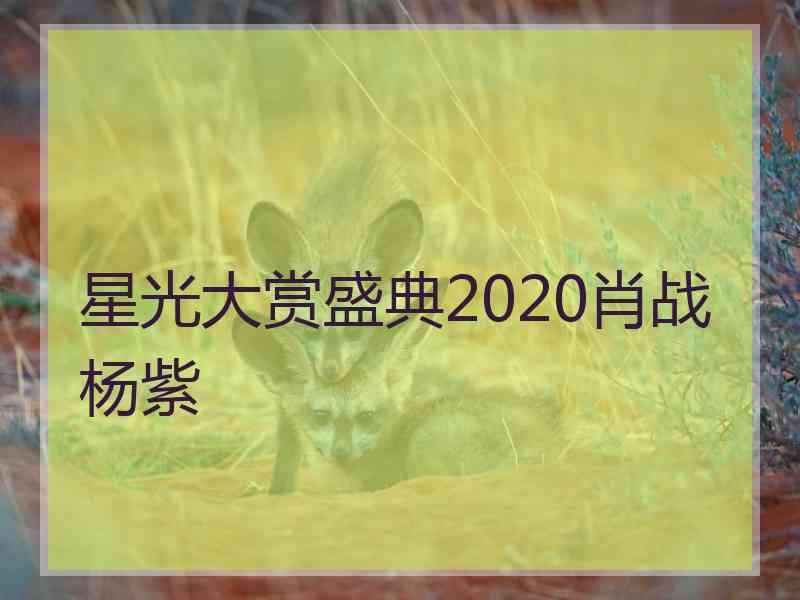 星光大赏盛典2020肖战杨紫