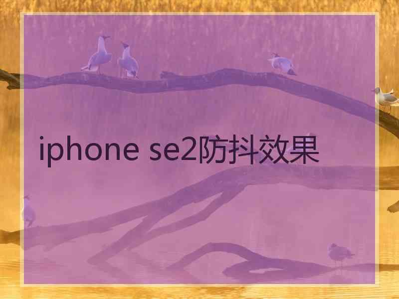 iphone se2防抖效果