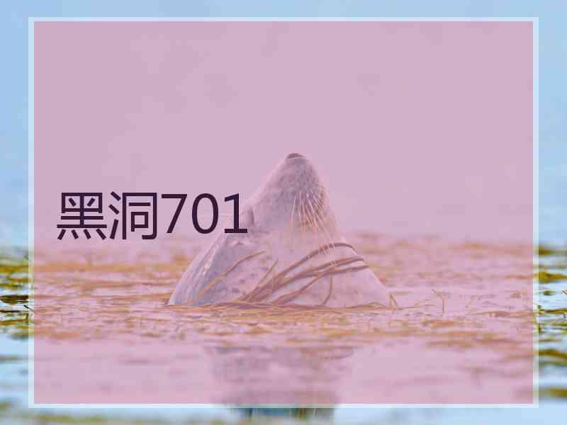 黑洞701