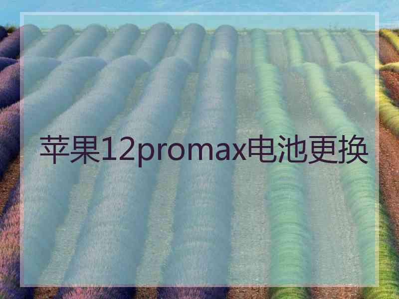 苹果12promax电池更换