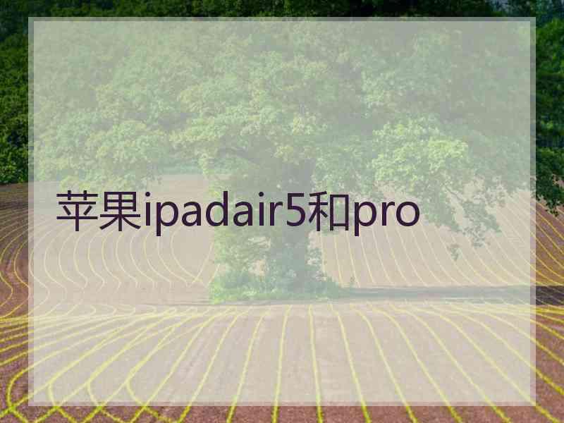 苹果ipadair5和pro