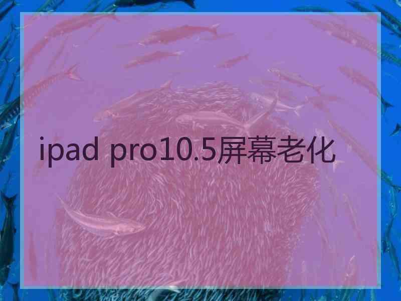 ipad pro10.5屏幕老化