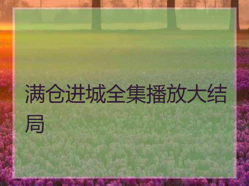 满仓进城全集播放大结局