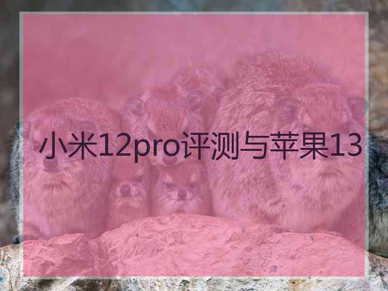 小米12pro评测与苹果13