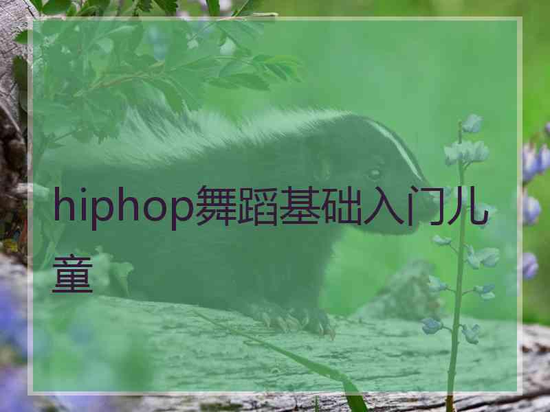 hiphop舞蹈基础入门儿童