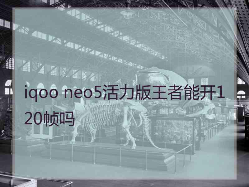 iqoo neo5活力版王者能开120帧吗