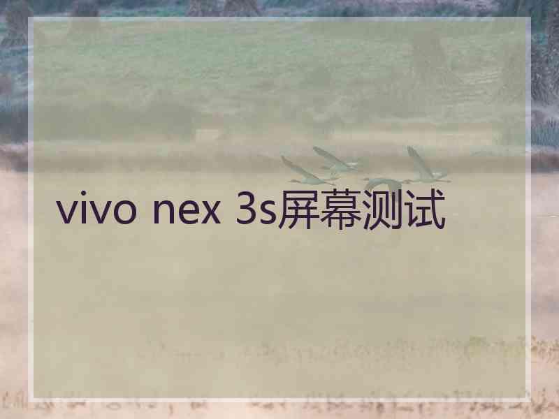 vivo nex 3s屏幕测试