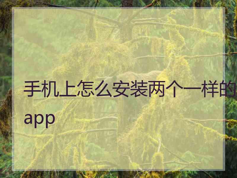 手机上怎么安装两个一样的app