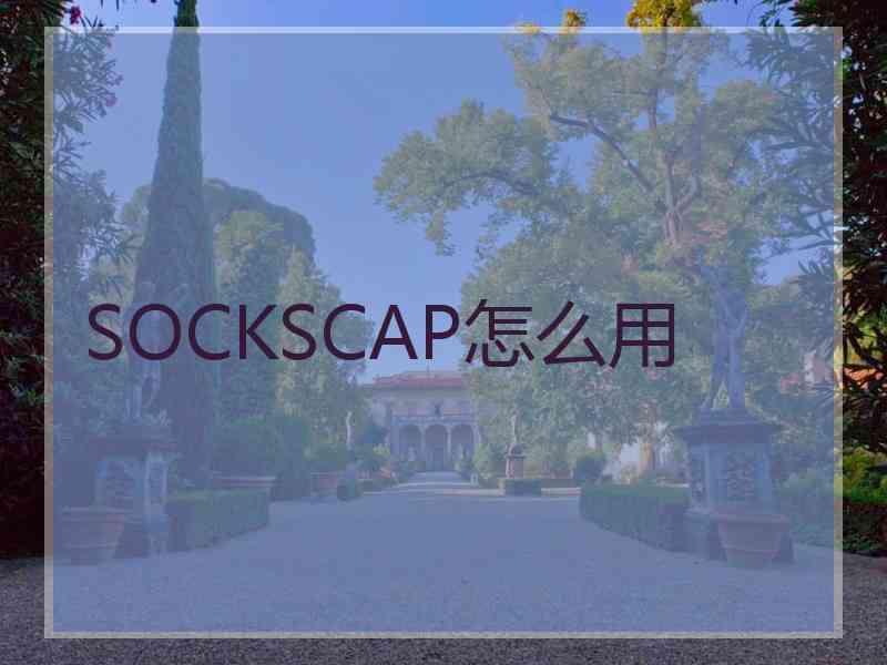 SOCKSCAP怎么用