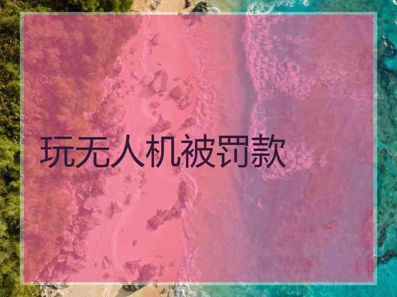 玩无人机被罚款