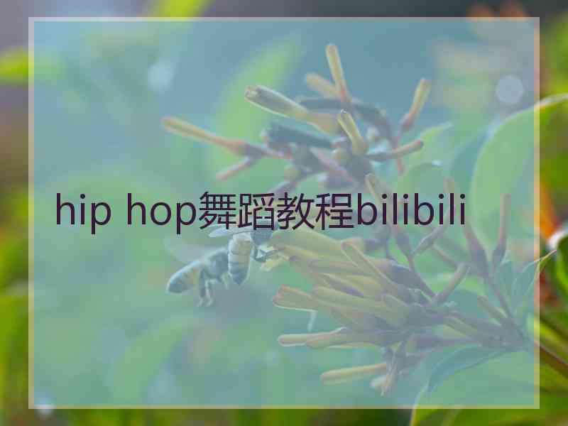 hip hop舞蹈教程bilibili