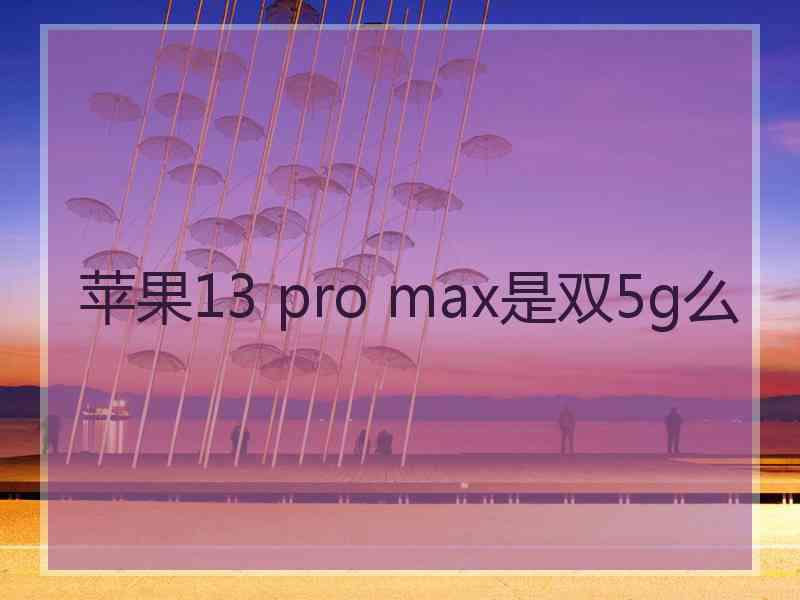 苹果13 pro max是双5g么