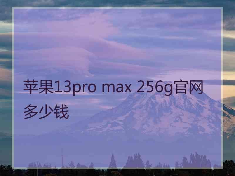 苹果13pro max 256g官网多少钱
