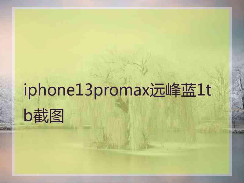 iphone13promax远峰蓝1tb截图