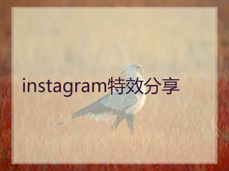 instagram特效分享