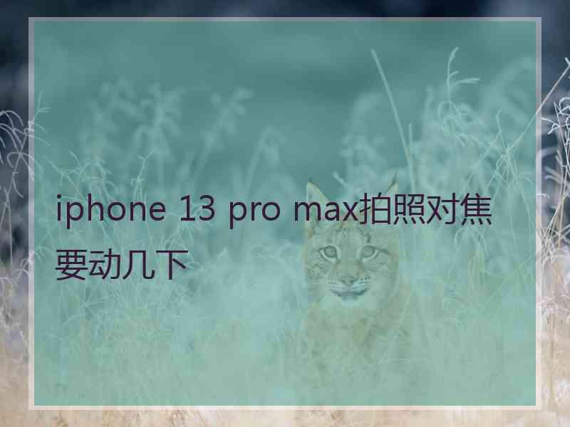 iphone 13 pro max拍照对焦要动几下