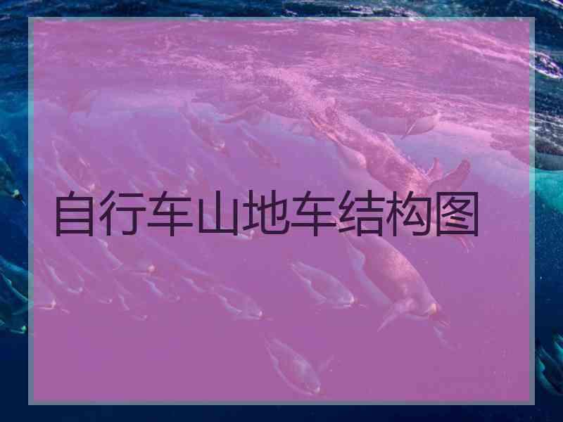 自行车山地车结构图