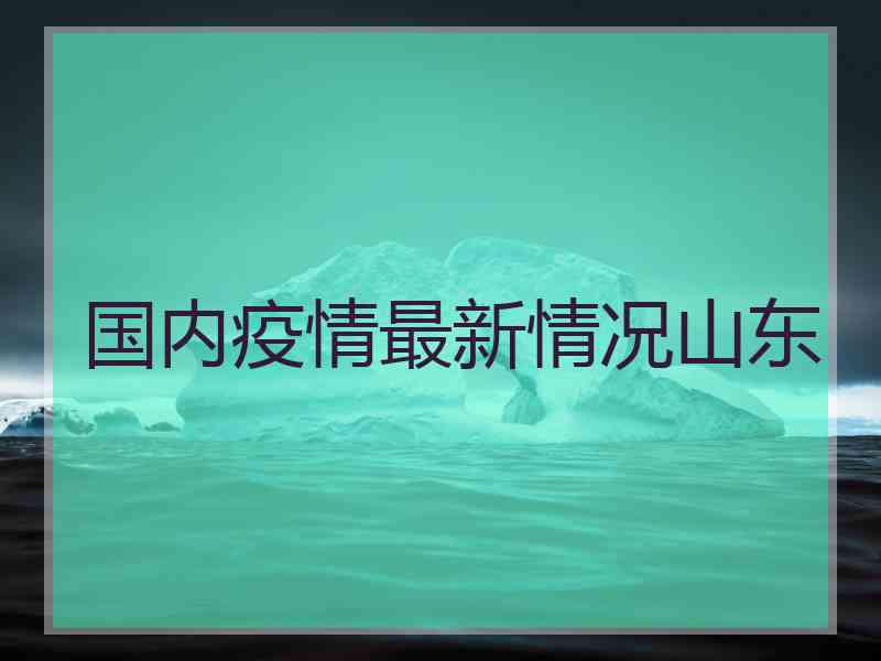 国内疫情最新情况山东