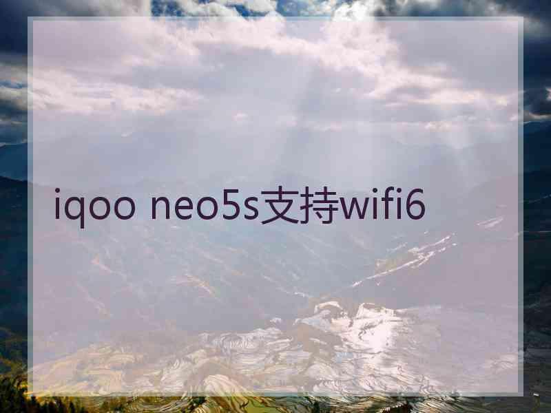 iqoo neo5s支持wifi6