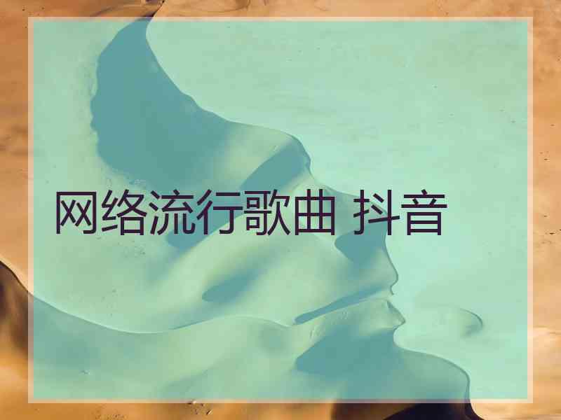 网络流行歌曲 抖音